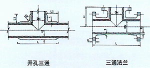 2009021214375323040.gif